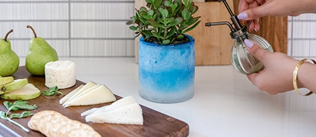 Beautiful Seasonal Flowers Banner